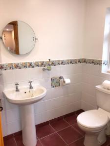 a bathroom with a toilet and a sink and a mirror at Atlantic View House in Killybegs +18 photos