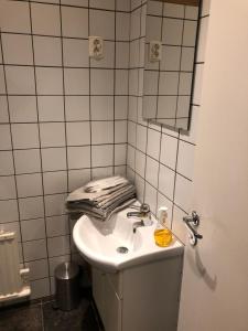 Vannituba majutusasutuses Logisolkatten