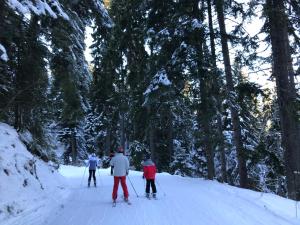 four people cross country skiing through a snow covered forest at Studio in Hotel Flora Borovets in Borovets