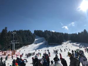 eine große Gruppe von Menschen an einer Skipiste in der Unterkunft Studio in Hotel Flora Borovets in Borowez