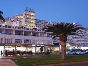 a large building with a palm tree in front of it at Holamigos Morro Jable in Morro del Jable