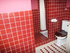 baño de azulejos rojos con aseo y ducha en Casa Rural Las Jañonas, en Gata