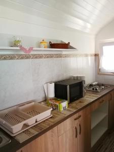 a kitchen counter with a microwave and a stove at Diófa Kuckó Apartman in Zalakaros