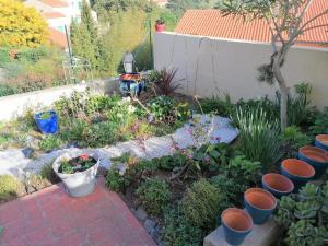 Villa dans les hauteurs de Collioure في كولِيور: حديقة بها مجموعة من النباتات والأواني