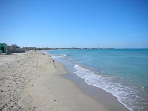 a beach with footprints in the sand and the ocean at Eolo apartments in Torre Chianca