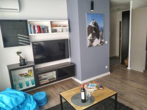 Televízia a/alebo spoločenská miestnosť v ubytovaní Strefa Malbec