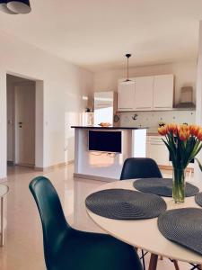 Kuchyň nebo kuchyňský kout v ubytování Apartman Petar