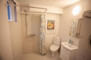 a bathroom with a shower and a toilet and a sink at T&oacute;rshavn Apartment - In The Center in T&oacute;rshavn