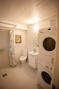 a bathroom with a washing machine and a toilet at T&oacute;rshavn Apartment - In The Center in T&oacute;rshavn