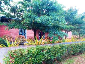 Giardino di Honey Tree Polonnaruwa