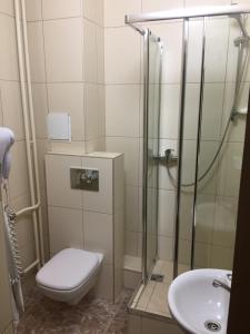 a bathroom with a shower and a toilet and a sink at Livadiya in Istra