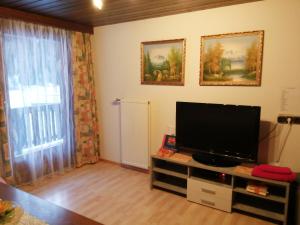 a living room with a flat screen tv and a window at Haus Johanna in Sankt Jakob in Defereggen