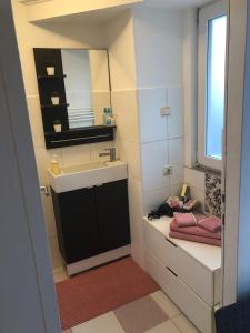 a small bathroom with a sink and a mirror at Studio Apartment New Home in Zagreb