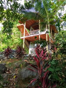 a house in the middle of a forest at Casitas Del Rio Riverfront Jungle Beach Vacation in Uvita