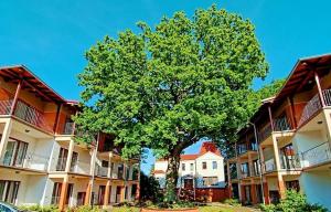 Budova, v ktorej sa ubytovanie bed & breakfast nachádza