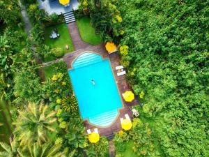 an overhead view of a swimming pool in a garden at Wellesley Resort Fiji in Vunaniu