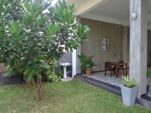 Zahrada ubytování Hotel Star White - Negombo
