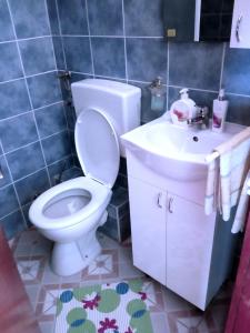 Ein Badezimmer in der Unterkunft Apartman Tamara