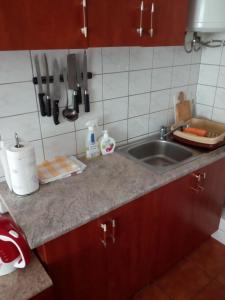 Küche/Küchenzeile in der Unterkunft Apartman Tamara