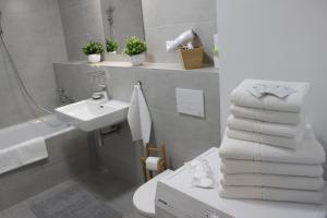La salle de bains est pourvue d'un lavabo et de toilettes avec des serviettes. dans l'établissement LEO Apartment FREE PARKING - Augusta, à Bratislava