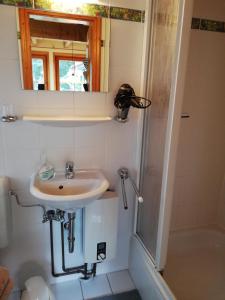 ein Bad mit einem Waschbecken und einer Dusche in der Unterkunft Haus Timmerloher Forst in Schneverdingen