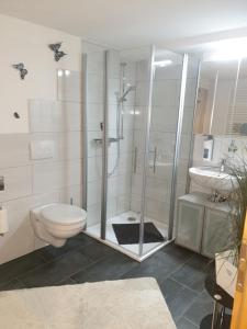 a bathroom with a shower and a toilet and a sink at Gästezimmer Haus Talblick in Lautenthal