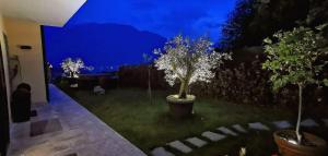 Zahrada ubytování Magic Garden with Jacuzzi-Pool and Luxury Lake Como view