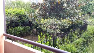 蘭恰諾的住宿－VILLETTA DI CHARME IN CENTRO CITTA'，花园前的围栏,花园中种着橘子树
