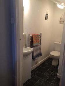 a bathroom with a white sink and a toilet at Chalet with hot tub room in Clanfield