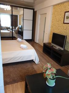 Fotografie z fotogalerie ubytování ismail 88 v destinaci Chişinău