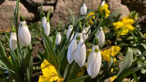 Gallery image of Къща Стария град in Plovdiv