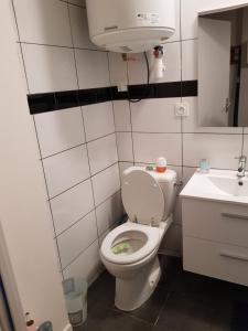 a bathroom with a toilet and a sink at Appartement moderne Roanne in Roanne