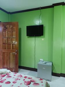 a bedroom with a bed and a television on a green wall at Stella'z guesthouse in Siquijor