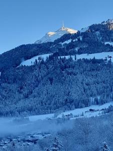 Vista generica sulle montagne o vista sulle montagne dall'interno of country house