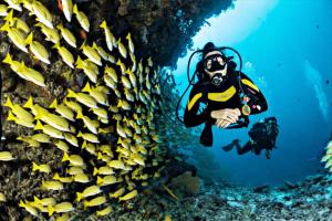 un hombre con una máscara de buceo está frente a una escuela de peces en Nature Inn, en Mirissa