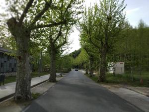 una strada alberata sul lato di una strada di Apartaments Rural Montseny a Gualba de Dalt