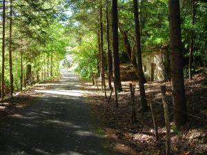Priroda u blizini hotela