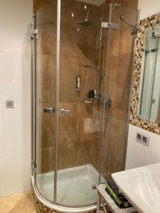 een douche met een glazen deur in de badkamer bij Ferienwohnung Sophia in Inzing