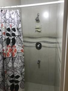 a shower in a bathroom with a shower curtain at Glynver Apartments in Christ Church +21 photos