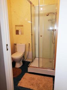 a bathroom with a toilet and a glass shower at Vienibas 11 in Daugavpils +4 photos