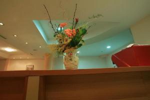 默主歌耶莱昂纳多酒店的相册照片