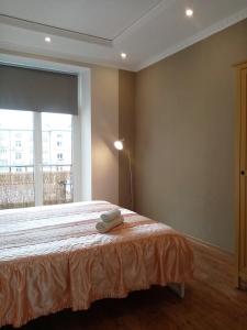 a bedroom with a bed and a large window at Vienibas 11 in Daugavpils +4 photos