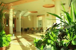 默主歌耶莱昂纳多酒店的相册照片