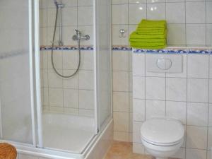 a bathroom with a shower and a toilet at Ferienhaus Rabe in Freest