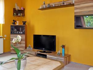 sala de estar con TV de pantalla plana en una pared amarilla en Zur Sonne, en Freest