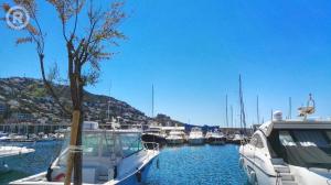 Táj Show holiday homes közelében