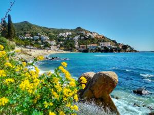 Táj Show holiday homes közelében