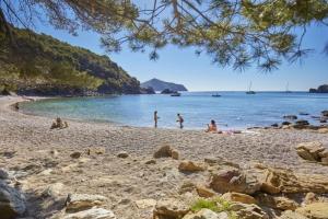 Táj Show holiday homes közelében