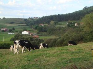 Fotografie z fotogalerie ubytování Hotel Rural Rumoroso v destinaci Rumoroso