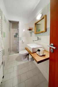 een badkamer met een wastafel, een toilet en een douche bij Hotel BRADA in Jičín